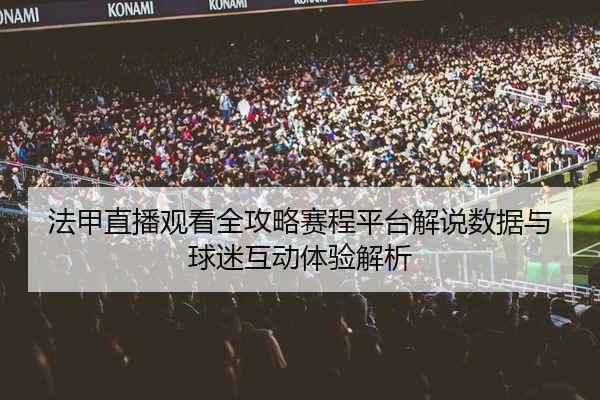法甲直播观看全攻略赛程平台解说数据与球迷互动体验解析