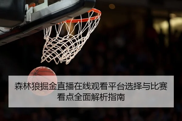 森林狼掘金直播在线观看平台选择与比赛看点全面解析指南